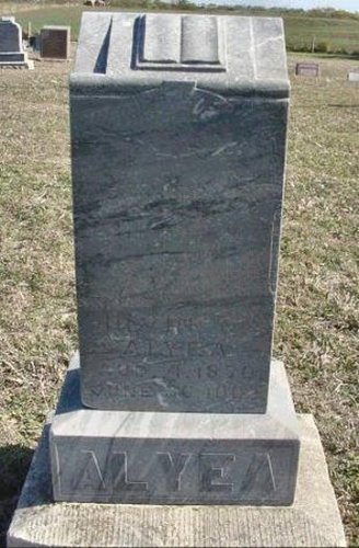 alyeairv.jpg (47114 bytes)