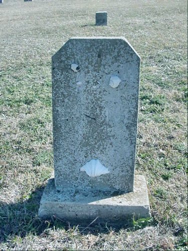 unknown1.jpg (79297 bytes)