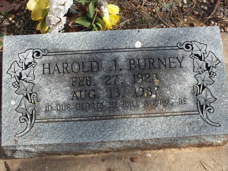 Harold J. Burney