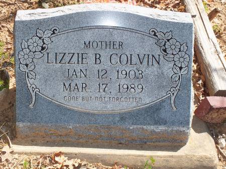 Lizzie B. Colvin