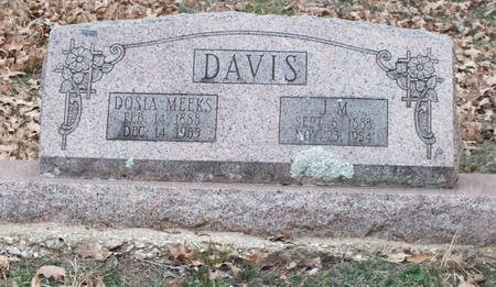 Dosia Meeks and J. M. Davis