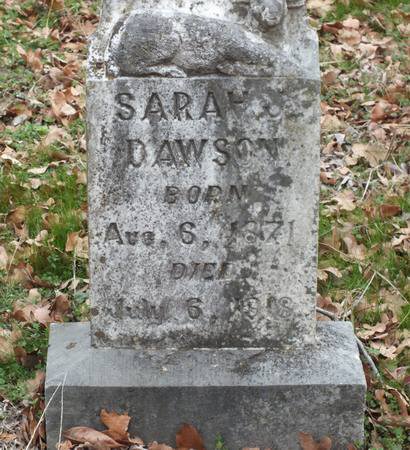 Sarah J. Dawson