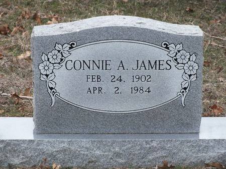 Connie A. James