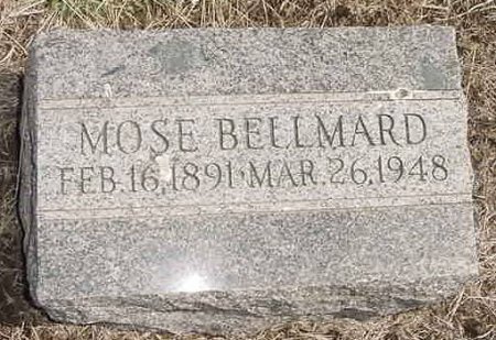 washbellmardmos.jpg (53450 bytes)