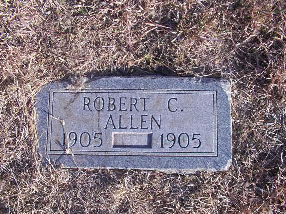 Robert C Allen