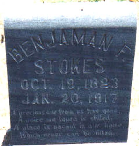 bfstokes.jpg (37809 bytes)