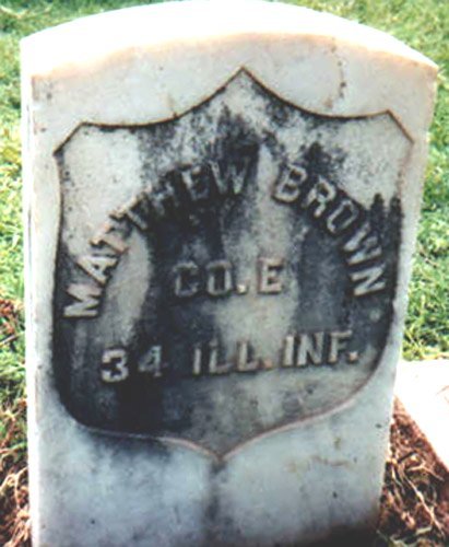 brown1.jpg (44330 bytes)