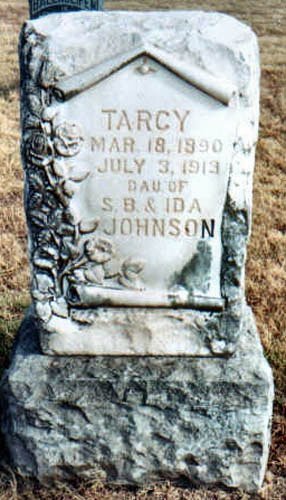 johnson.jpg (45101 bytes)