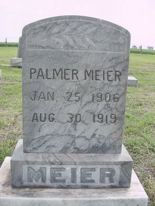 meierpalmer.jpg