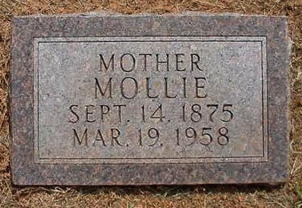 ortnermollie.jpg