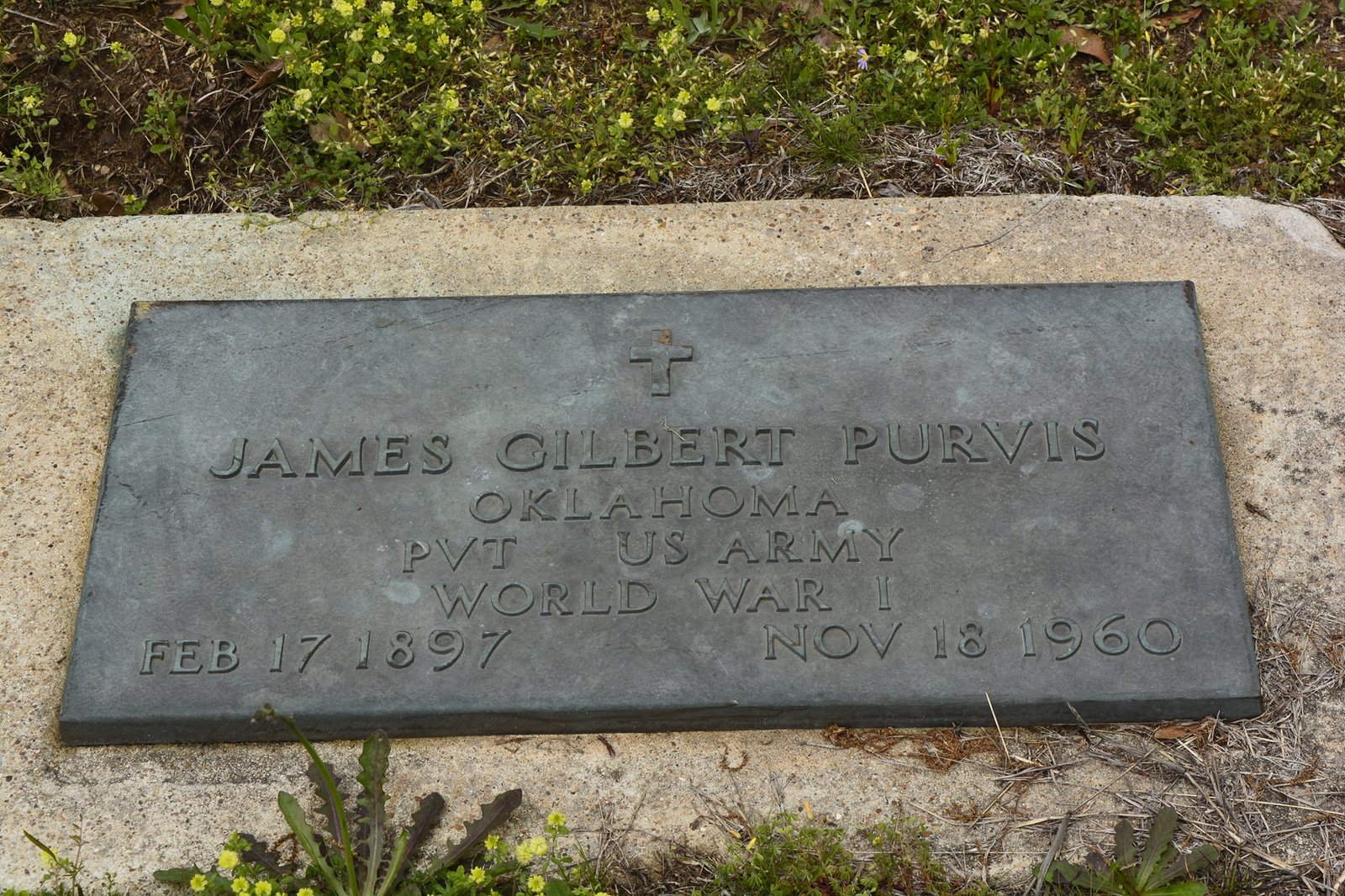 purvis-j-g