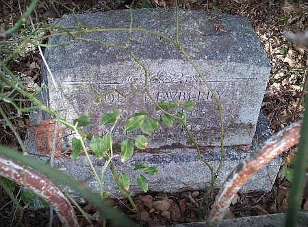 Joe Newberry gravestone