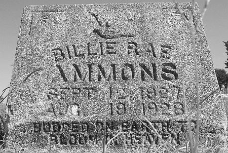 Billie Rae Ammons gravestone