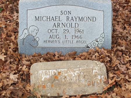 Michaed Raymond Arnold