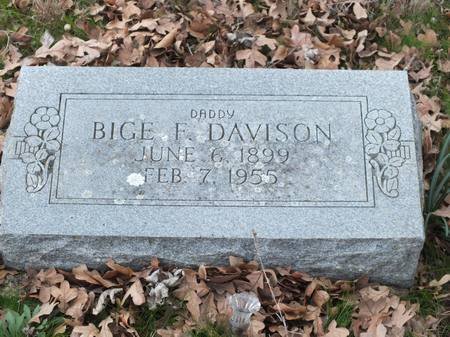 Bige F. Davison