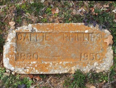 Callie Phillips