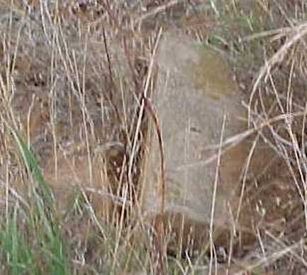 headstone photo