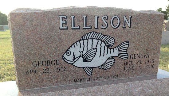 ellison-gg