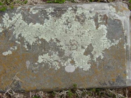 gravestone