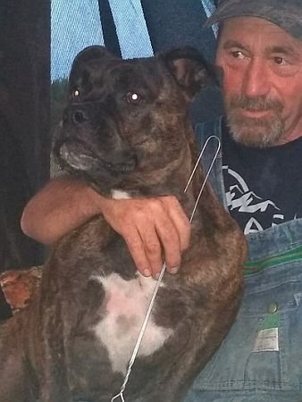 Jerry Wayne "Bop" Darcey