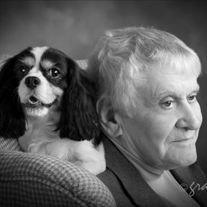 Donald Leon Stainsby, Dr.