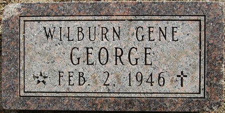 headstone photo